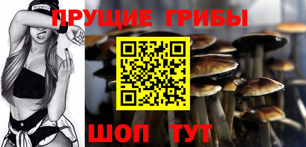 Псилоцибиновые грибы Cubensis  Псилоцибиновые грибы MAGIC MUSHROOMS  Вход с VPN  Кызыл 